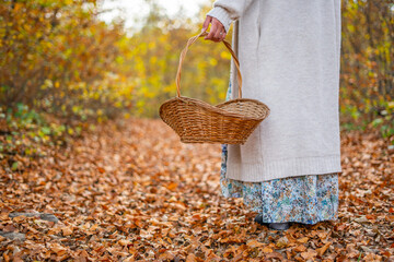 A woman in a dress with a pattern of plants and flowers goes harvesting along a path covered with leaves in fall with a wicker basket with handle