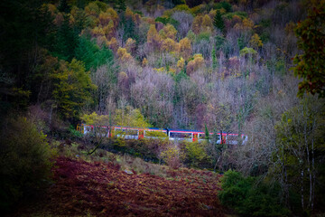 Train running through Autumn trees and valleys, Wales, United Kingdom