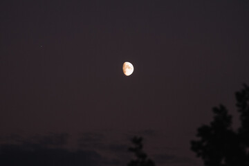 Scenic view of moon shining over tree and clouds in evening sky