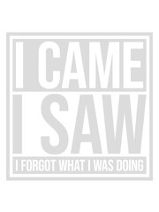 Obraz premium I came saw forget 