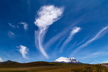 View of the Antisana volcano