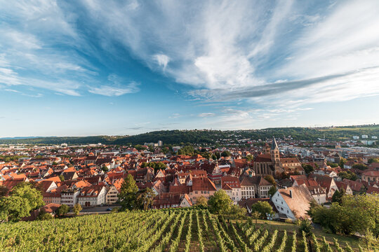 Panorama der Stadt Esslingen am Neckar mit Weinbergen, Stadth&auml;user mit Kirche und blauem Himmel mit leichten Wolken