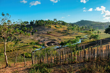 Farm with coconut trees in the countryside of Bahia, Cidade do Conde Brazil