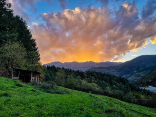 Fototapete bei efototapeten.de bestellen   