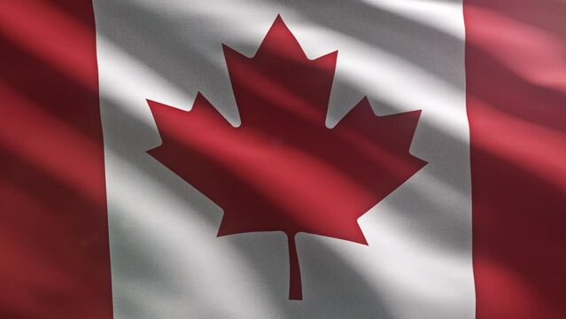 Waving the national flag symbol of Canada. Waving the state flag ensign of Canada in red and white colours. Waving the flag of Canada with a red maple leaf on the white band background.