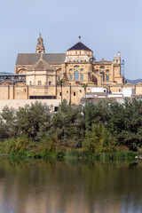 Fototapeta na wymiar The Mosque–Cathedral of Cordoba, Spain