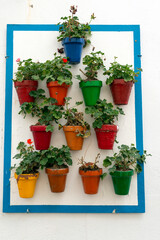 Naklejka premium Flowerpots in Cordoba, Spain