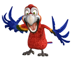Cartoon Macaw Bird 2