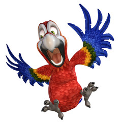 Cartoon Macaw Bird 3