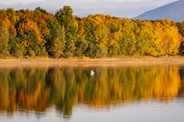 autumn landscape with lake, Liptovská Mara, Liptov, Slovakia