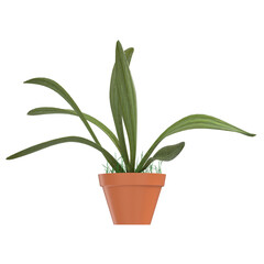 3d rendering illustration of a potted plant