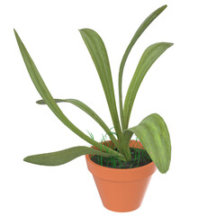 3d rendering illustration of a potted plant