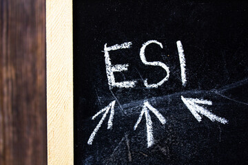 Esl - English as a second language text concept on chalk board.