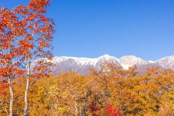 【長野県】秋のどんぐりパノラマ展望台からの北アルプス