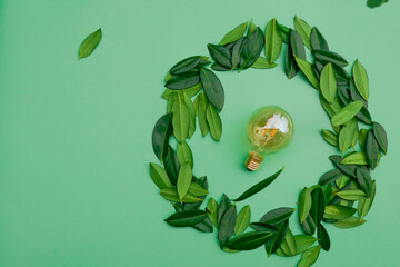 light bulb and green flying leaves on a green background.renewable energy.Natural renewable energy.