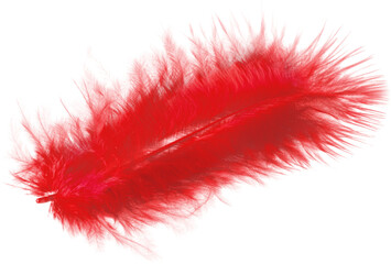 Red Feather, Isolated