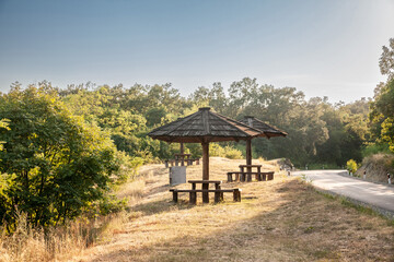 Fototapeta na wymiar Wooden picnic table with an umbrella made of wood in fruska gora, in vojvodina, a national park of serbia, during a summer sunset used by people for leisure, relaxing, picnicking or having a brea