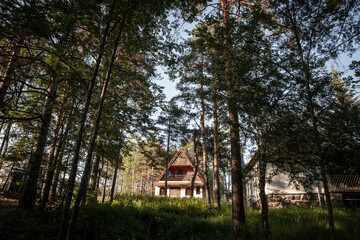 Residential house, a mountain chalet building, called vikendica, in the middle of a mountain forest...