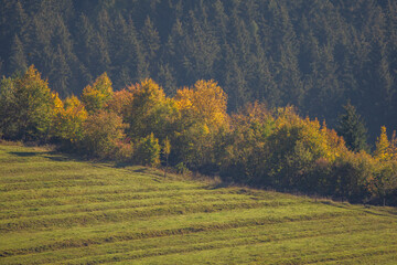 autumn landscape in the mountains