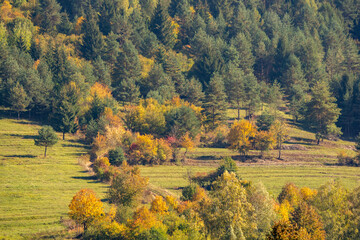 autumn landscape in the mountains