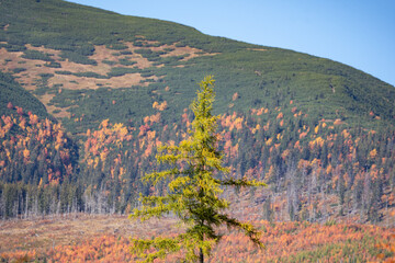 autumn in the mountains