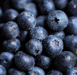 Fresh Blueberries background 