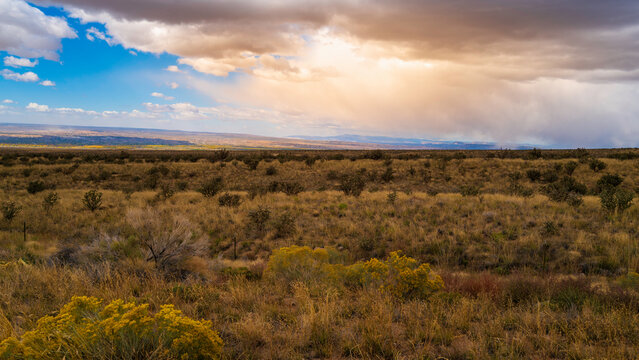 Autumn arid landscape of the wilderness meadow in the Sandia Mountains park in Albuquerque, New Mexico, USA 