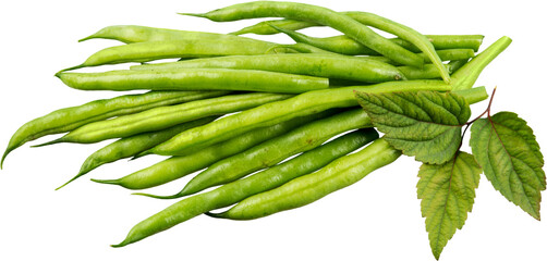 Bunch of french green beans