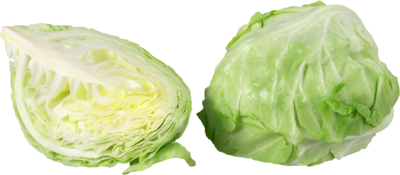 Close-up of green cabbage isolated on white background