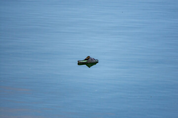 slipper in the lake