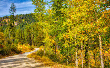 Country road in the autumn