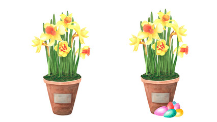 Naklejka na ściany i meble Easter set daffodils bouquet in ceramic pot with colored eggs isolated on white. Watercolor hand drawing illustration