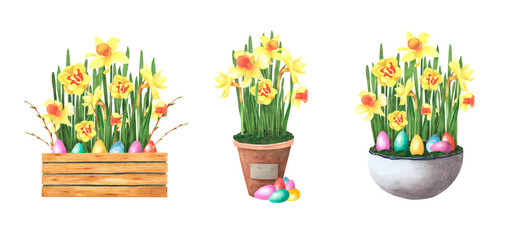 Easter set spring flowers daffodils in pot with colored eggs isolated on white. Watercolor hand drawing illustration