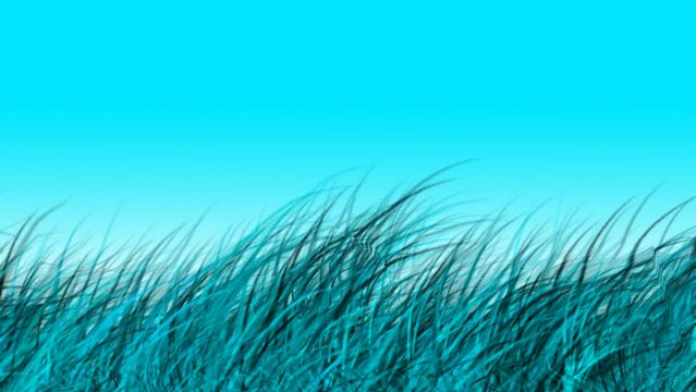 grass with a blue background blowing in the looping wind