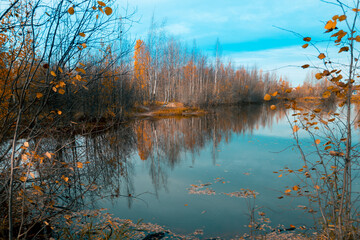 Clear autumn day at the forest lake