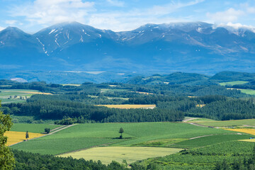 Obraz premium 北海道、就実の丘から大雪山の眺望