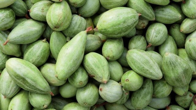 fresh organic pointed gourd from farm close up from different angle