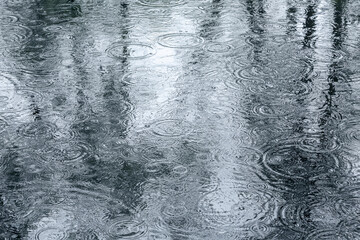 wet sidewalk with raindrops and trees reflection in a puddle