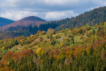 Beautiful autumn forest in the Carpathian mountains on a sunny autumn day on the Synevyr Pass ridge and blue sky background. Ukraine
