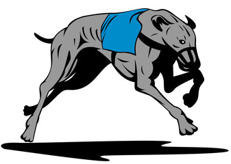 Illustration of a greyhound dog racing done in retro style.