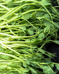 Fresh sprouts of microgreen peas, on a black, textured background. Healthy and wholesome food.