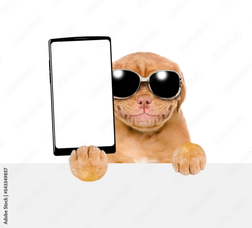 Poster smiling mastiff puppy wearing sunglasses holds big smartphone with white blank screen in it paw, sho