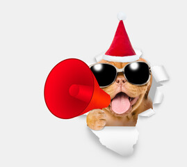 Happy puppy wearing sunglasses and red santa hat holds megaphone and looking through the hole in white paper