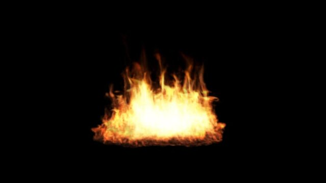 fire burning on MOV video planting background used to make fire video effect	