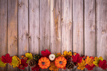 Fototapeta na wymiar Thanksgiving Fall Background pumpkin corn maple leaf colorful bottom decorations
