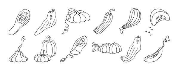 Autumn design template, hand drawn pumpkins, flat vector illustration