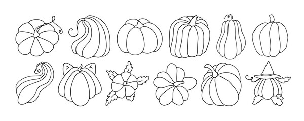 Autumn design template, hand drawn pumpkins, flat vector illustration