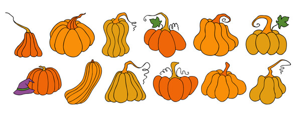 Autumn design template, hand drawn pumpkins, flat vector illustration