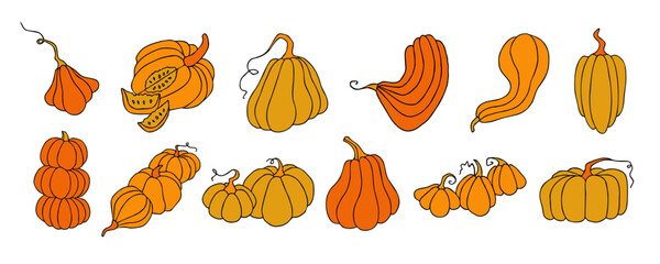 Autumn design template, hand drawn pumpkins, flat vector illustration