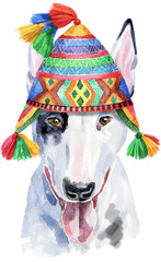 Watercolor portrait of bull terrier in chullo hat